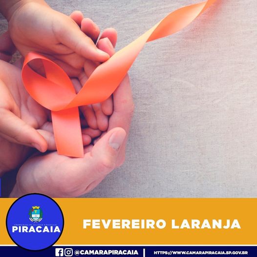 SOBRE O FEVEREIRO LARANJA