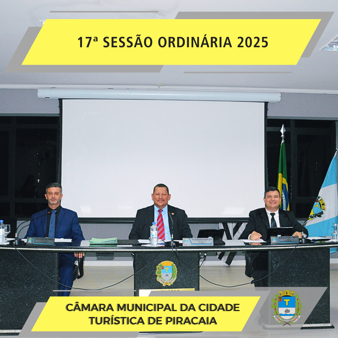 17ª Sessão Ordinária de 2025