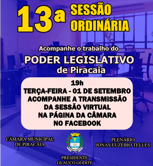 13ª Sessão Ordinária realizada pela Câmara Municipal no ano de 2020